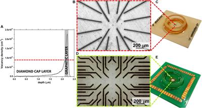 Quantal Release of Dopamine and Action Potential Firing Detected in Midbrain Neurons by Multifunctional Diamond-Based Microarrays
